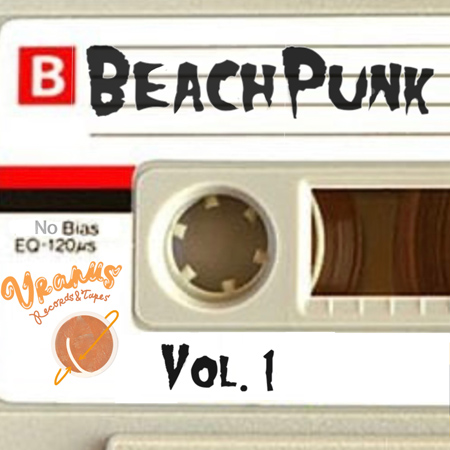 Beach Punk Vol. 1 표지