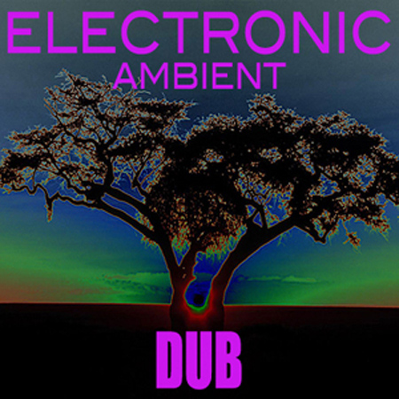 VIBEY 38 Electronic Ambient Dub 1 표지