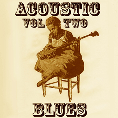 VIBEY 46 Acoustic Blues 2 표지