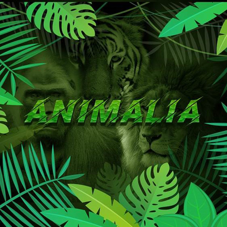 Animalia 표지