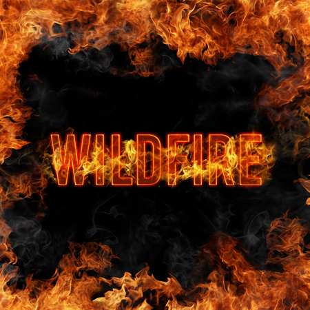 Wild Fire 표지