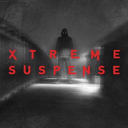 VLT1544 X-treme Suspense 표지