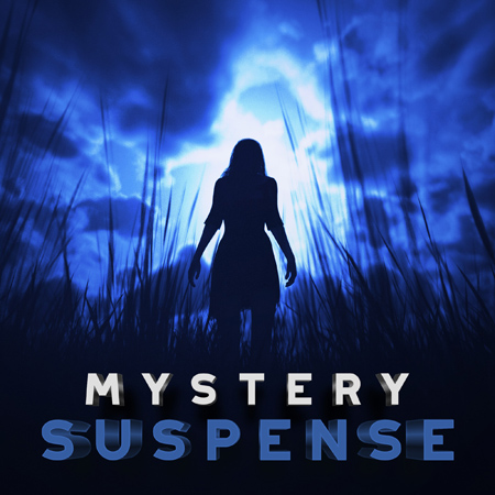 VLT1591 Mystery - Suspense 표지