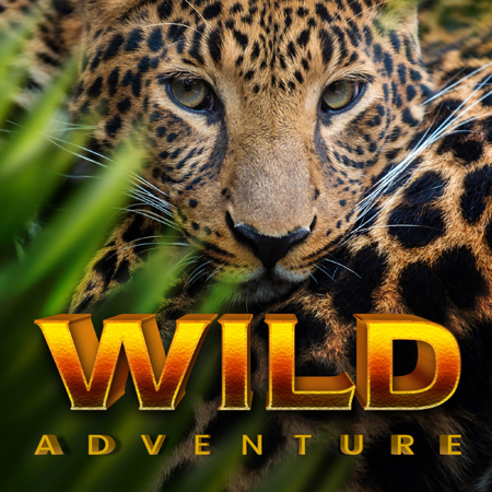 VLT1614 Wild Adventure 표지