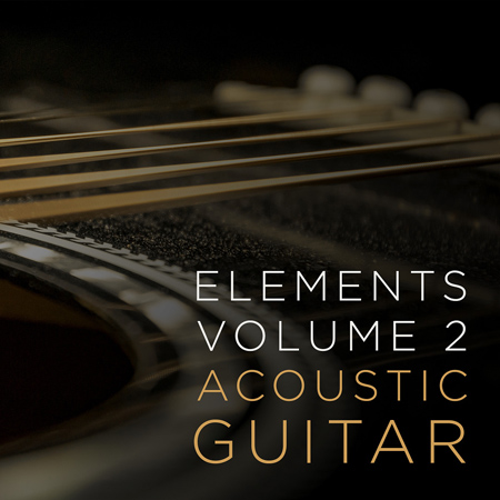 VLT1631 Elements v2 Acoustic Guitar 표지