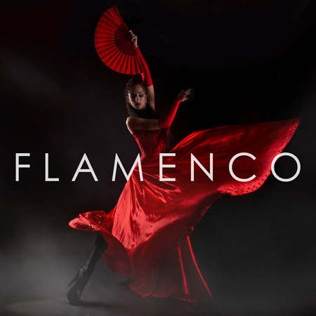 VLT1633 Flamenco 표지