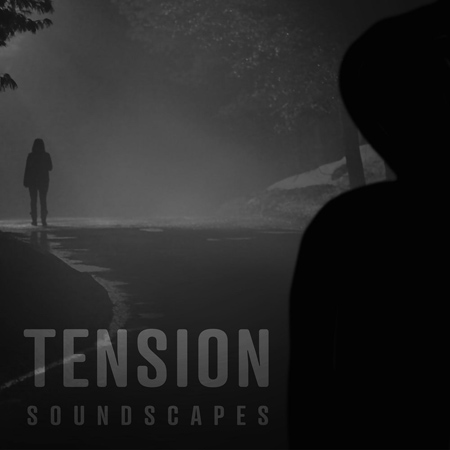 VLT1638 Tension Soundscapes 표지