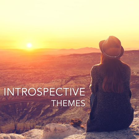 VLT1651 Introspective Themes 표지
