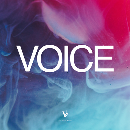 Voice - Compilation 표지