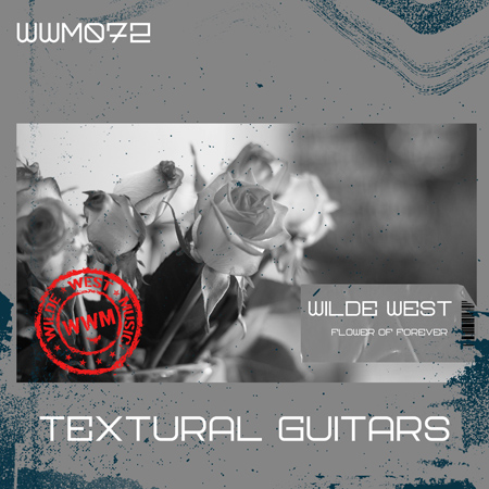 TEXTURAL GUITARS 표지