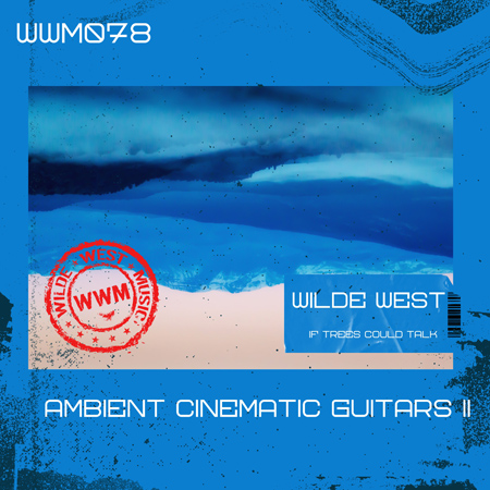 AMBIENT GUITARS II 표지