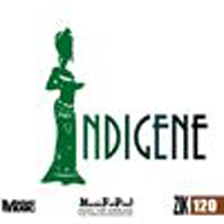 INDIGENE 표지