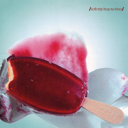 SOFT TRIP HOP TECHNO 표지
