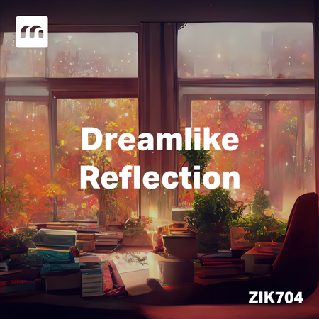Dreamlike Reflection 표지
