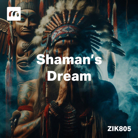 Shaman's Dream 표지