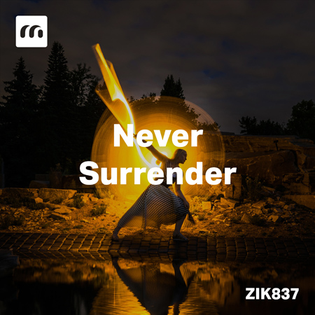 Never Surrender 표지