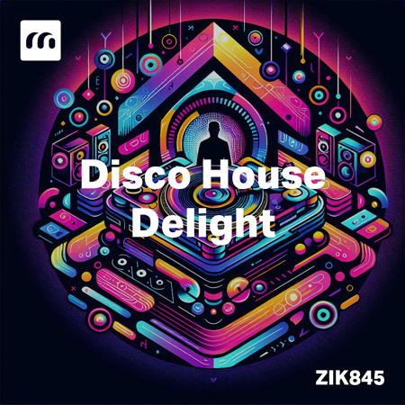 Disco House Delight 표지