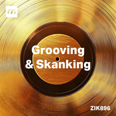 Grooving & Skanking 표지