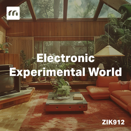 Electronic Experimental World 표지