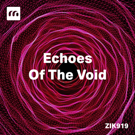 Echoes Of The Void 표지