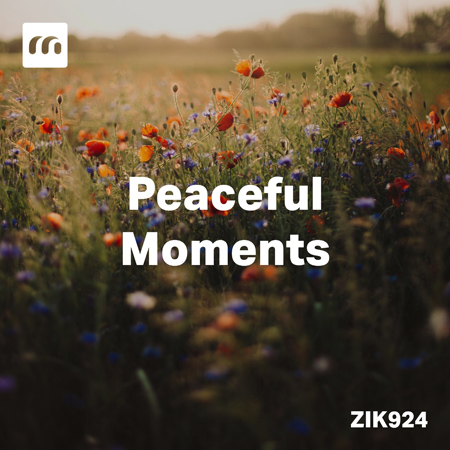 Peaceful Moments 표지