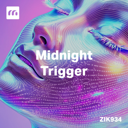 Midnight Trigger 표지