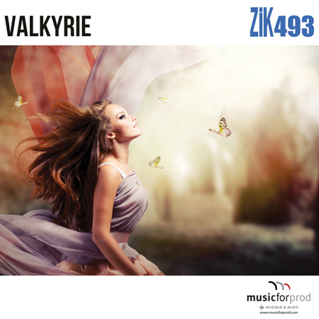 VALKYRIE 표지