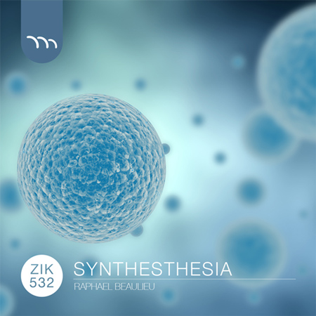 SYNTHESTHESIA 표지