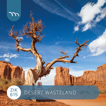 DESERT WASTELAND 표지