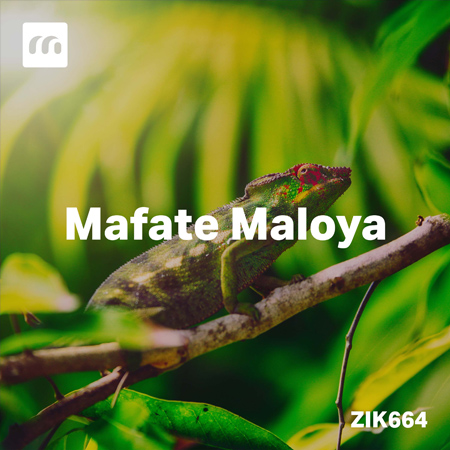 Mafate Maloya 표지
